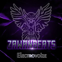 Zawanbeats - Electrovoize